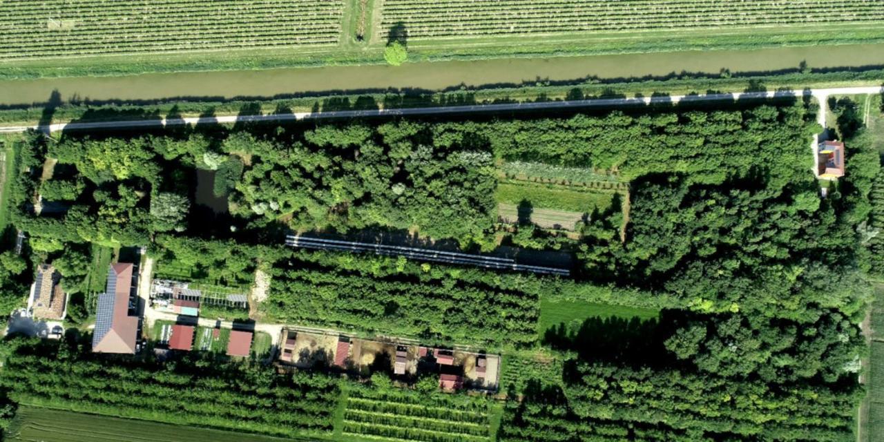 La Via Antiga Cittanova (Veneto) Exterior foto